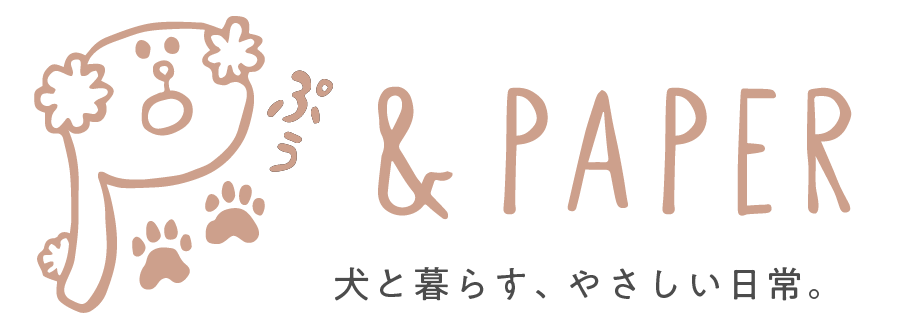 ぷぅ & PAPER